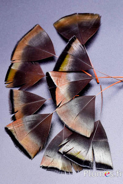 Verenblaadjes - 6-8 x 3-4 cm - azteeks goud-antraciet metallic